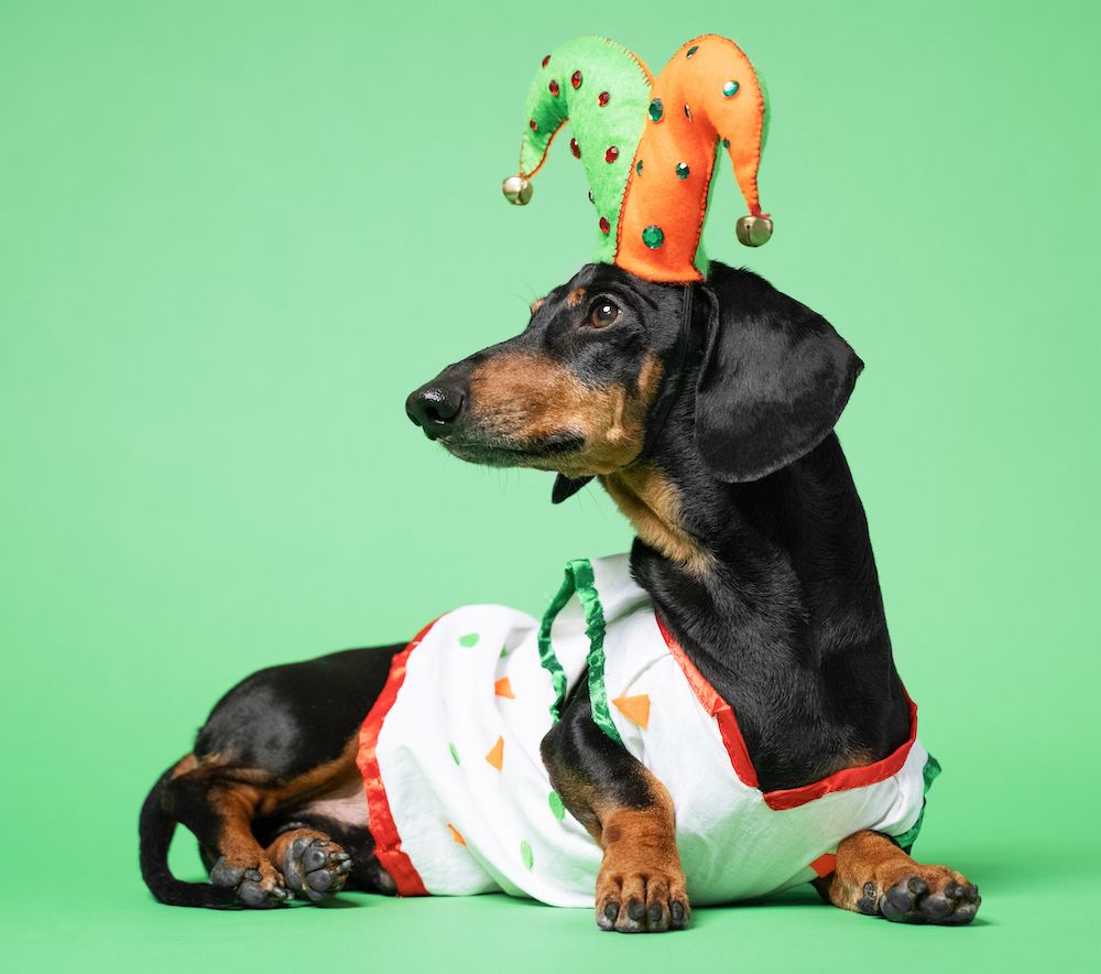 A Bunch of April Fools